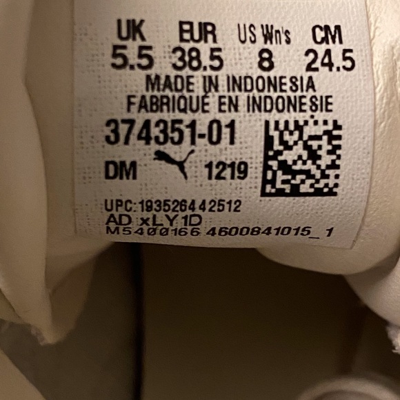 Pumas - Picture 6 of 6